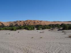 Homeb - Vue sur les dunes
