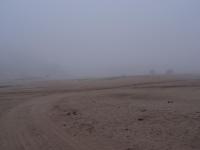 Homeb - Début de matinée dans le brouillard