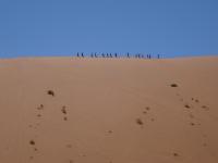 Crête de dune